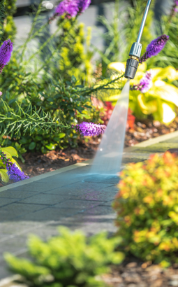 a person is using a high pressure washer to clean a sidewalk in a garden .